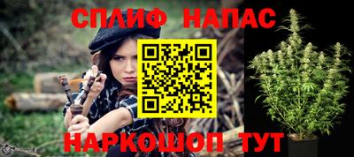 бошки Протвино