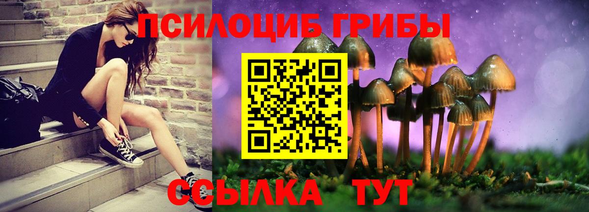 Баксан  где купить   Вход с VPN  Галлюциногенные грибы MAGIC MUSHROOMS 